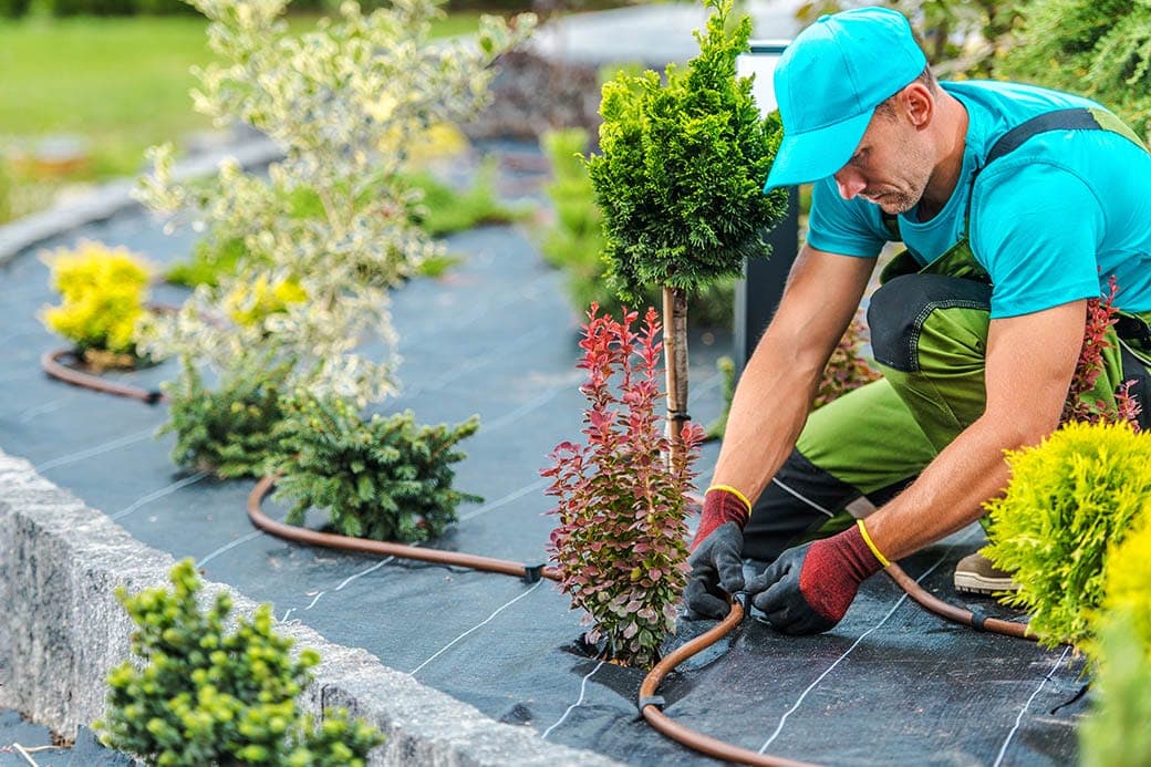 Sistema de fertirrigación Ecoganic