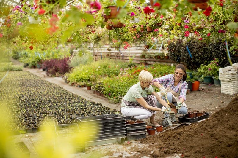 Guía Completa para un Jardín Ecológico: Fertilizante Orgánico, Fertilizantes Ecológicos, Fungicida Ecológico, Insecticida Ecológico y Bioestimulantes Orgánicos