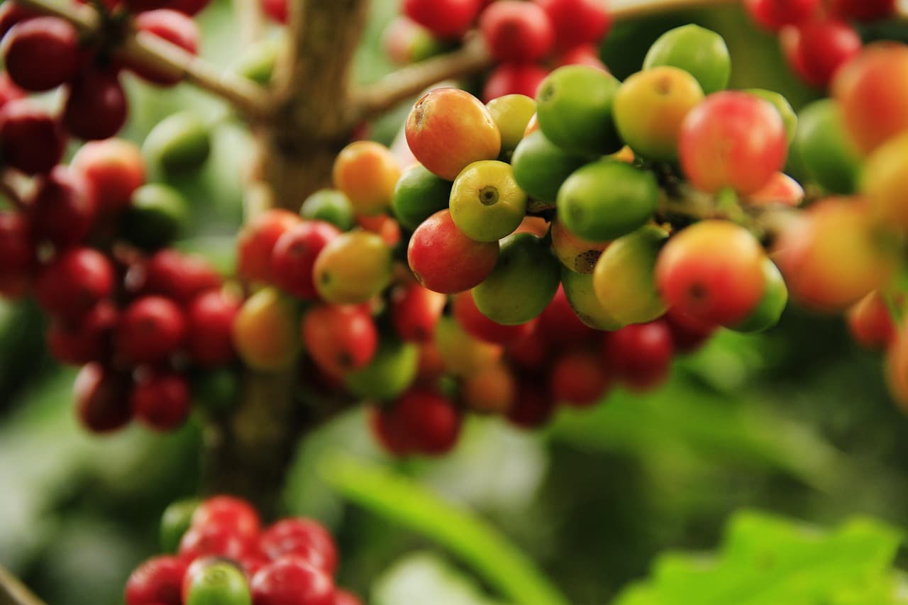 Tendencias Bioprotectores Cultivos Tropicales 2026