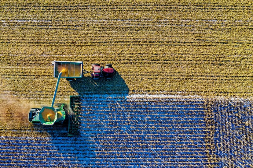 4. Principales bioprotectores orgánicos para el control de nematodos en soja