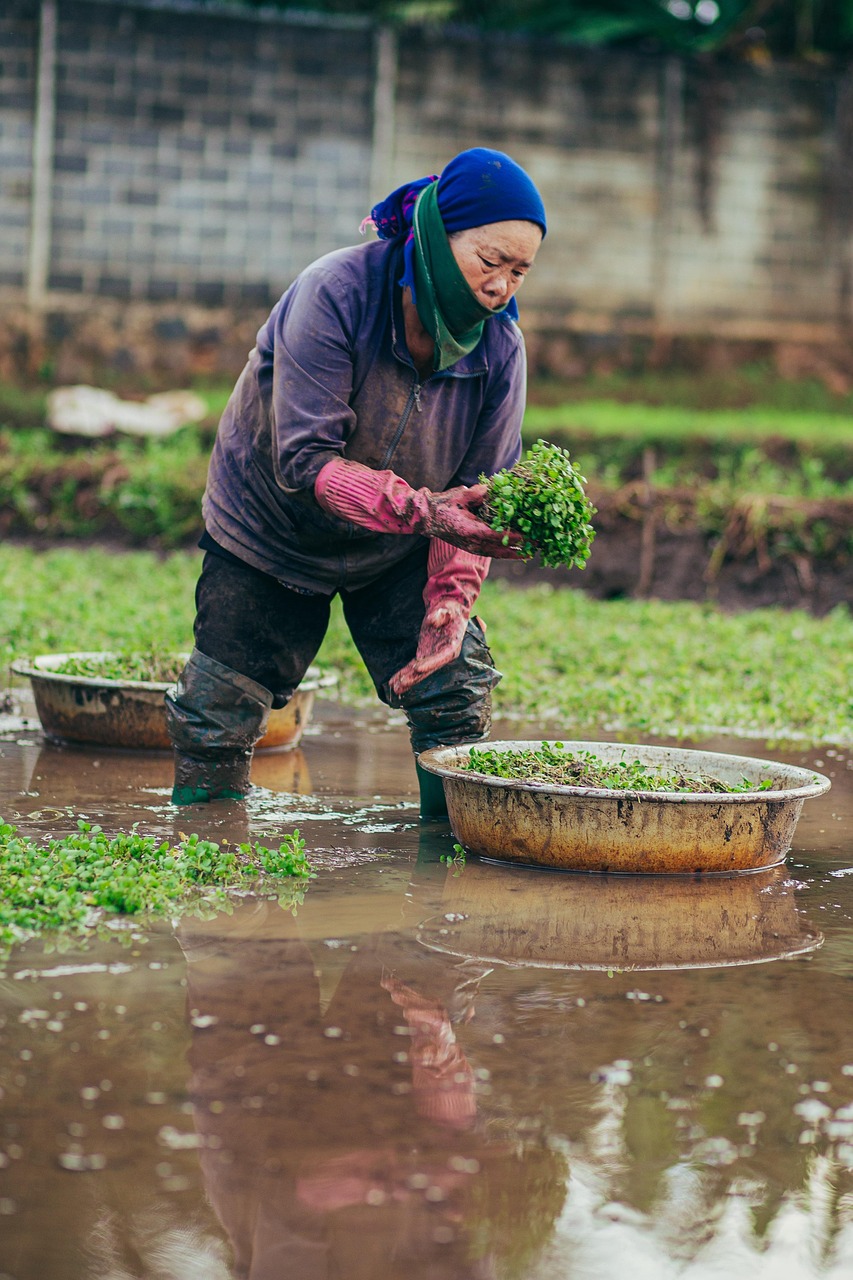 4. Cómo aplicar bioestimulantes en soja ecológica