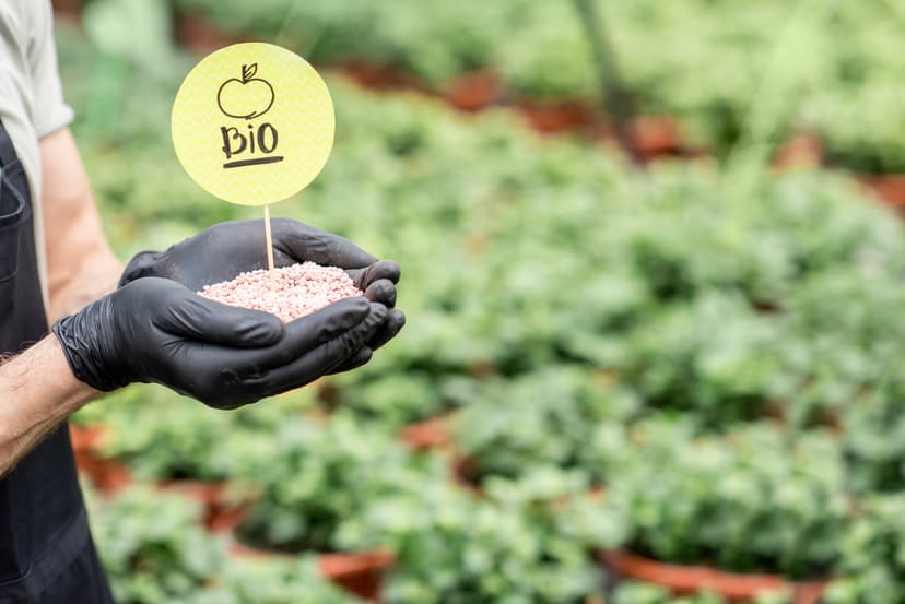 Mitos y realidad de la fertilización orgánica en arándanos