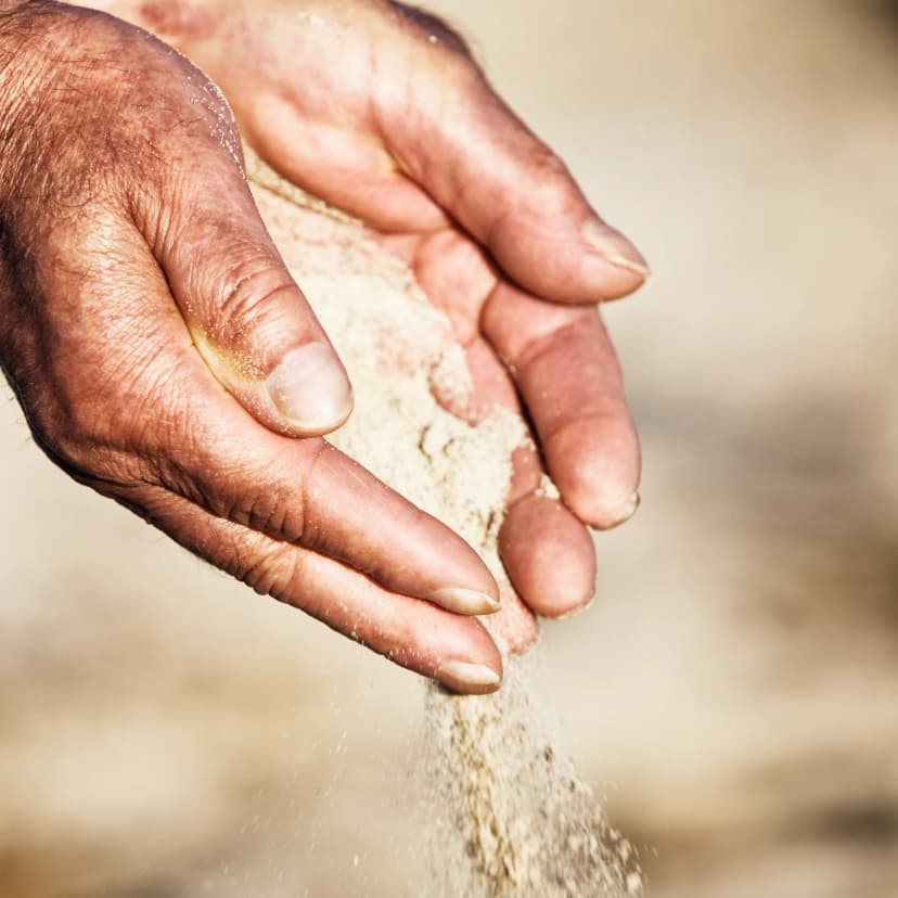 Beneficios de los ácidos fúlvicos en el olivar