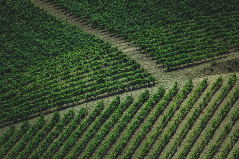 Regulación bioestimulantes Europa: cambios para agricultores