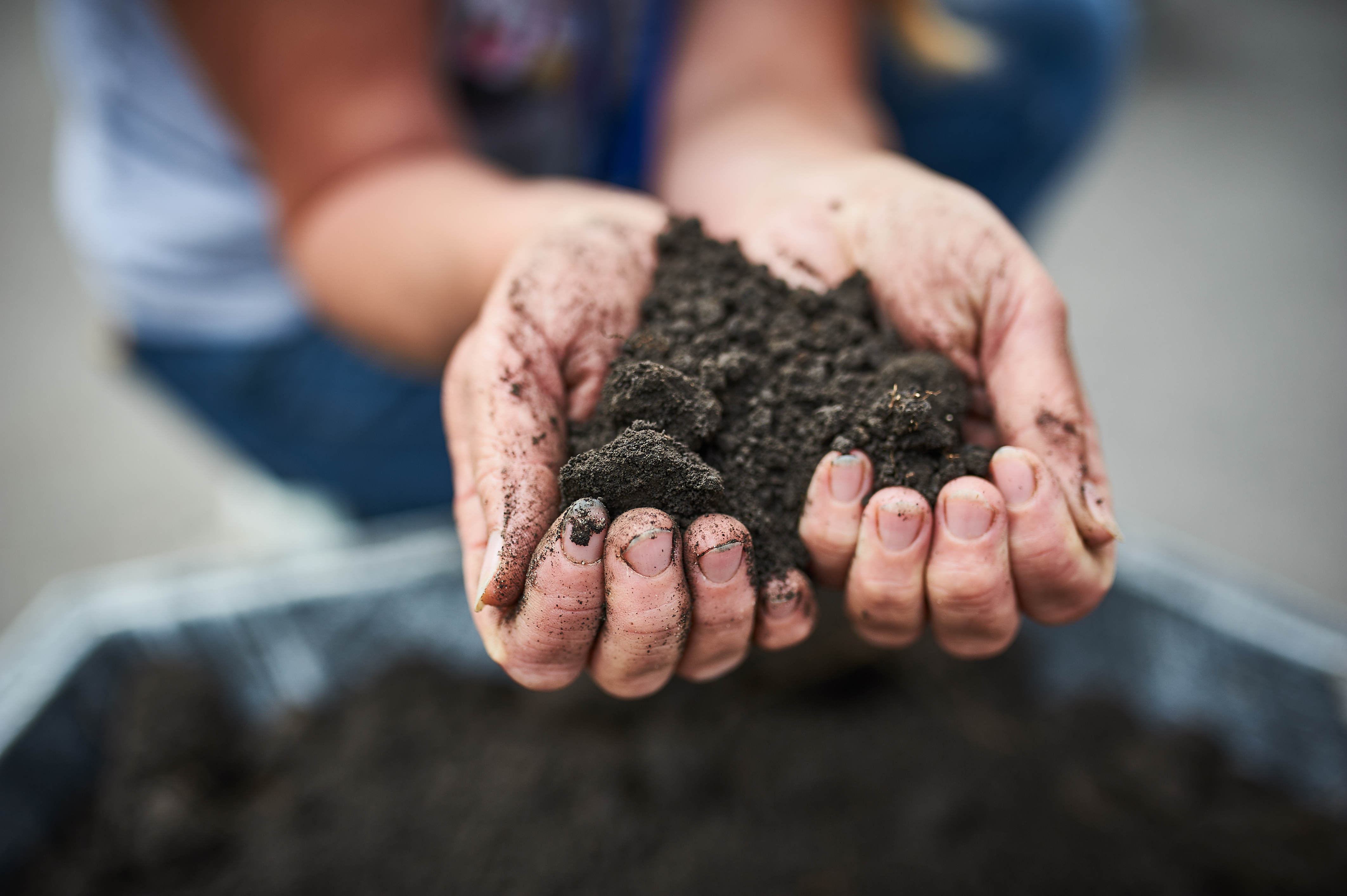 Bioprotectores ecológicos: opciones y eficacia