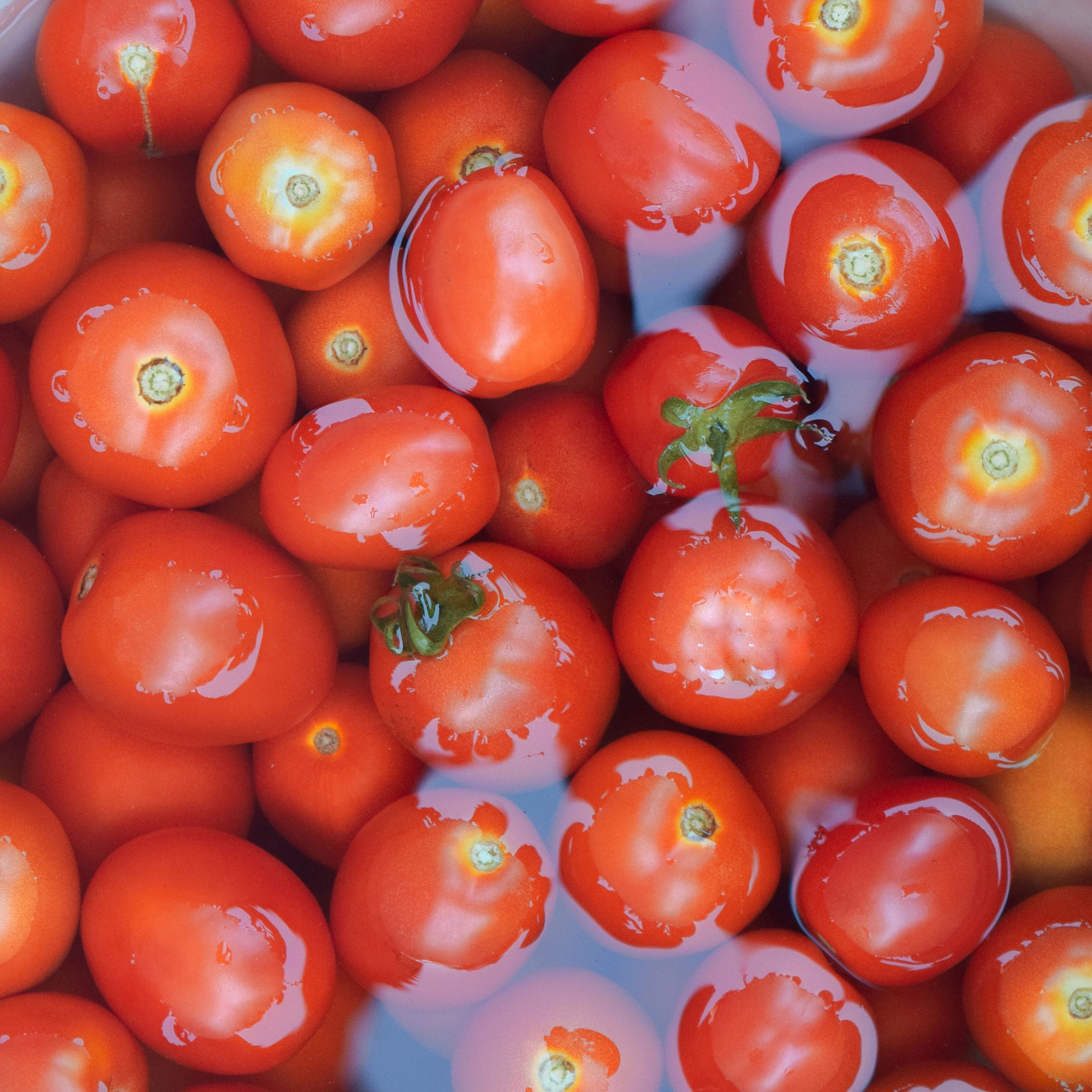 Cómo integrarlos en tu manejo agronómico