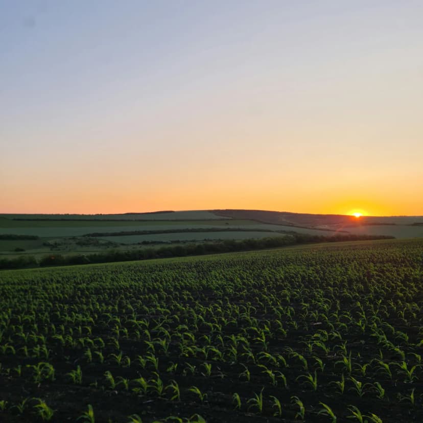 agricultura sostenible con bioestimulantes y fertilizantes