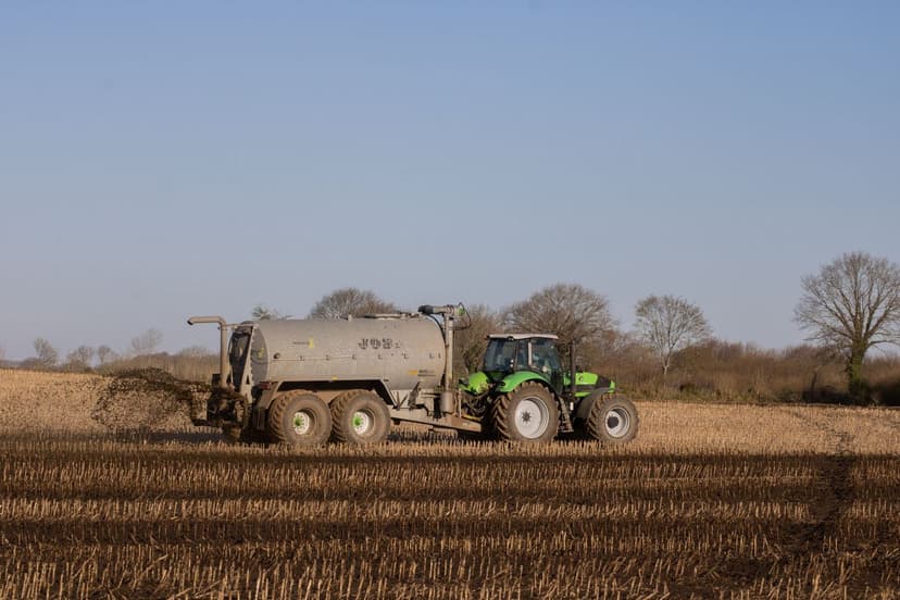 Fertilizante orgánico para trigo en Argentina: guía completa