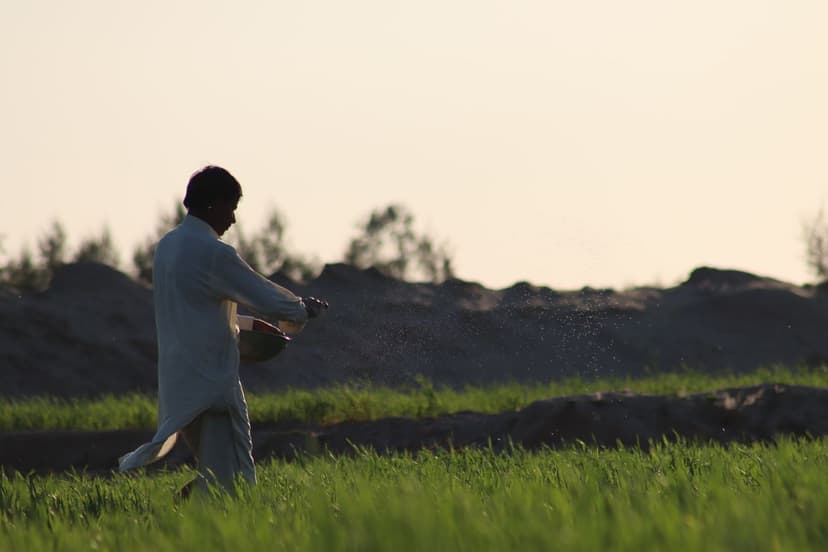 Fertilizante orgánico para trigo en Argentina: guía completa
