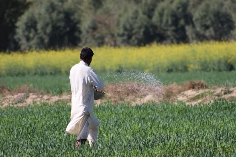 Fertilizantes biológicos para soja en Argentina