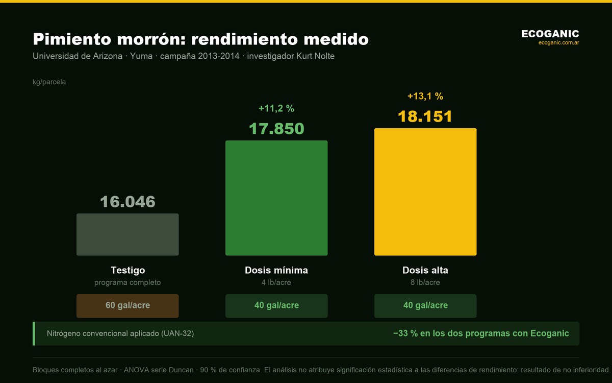 Rendimiento en pimiento morrón medido por la Universidad de Arizona: testigo 16.046 kg frente a 17.850 y 18.151 kg aplicando un 33 % menos de nitrógeno