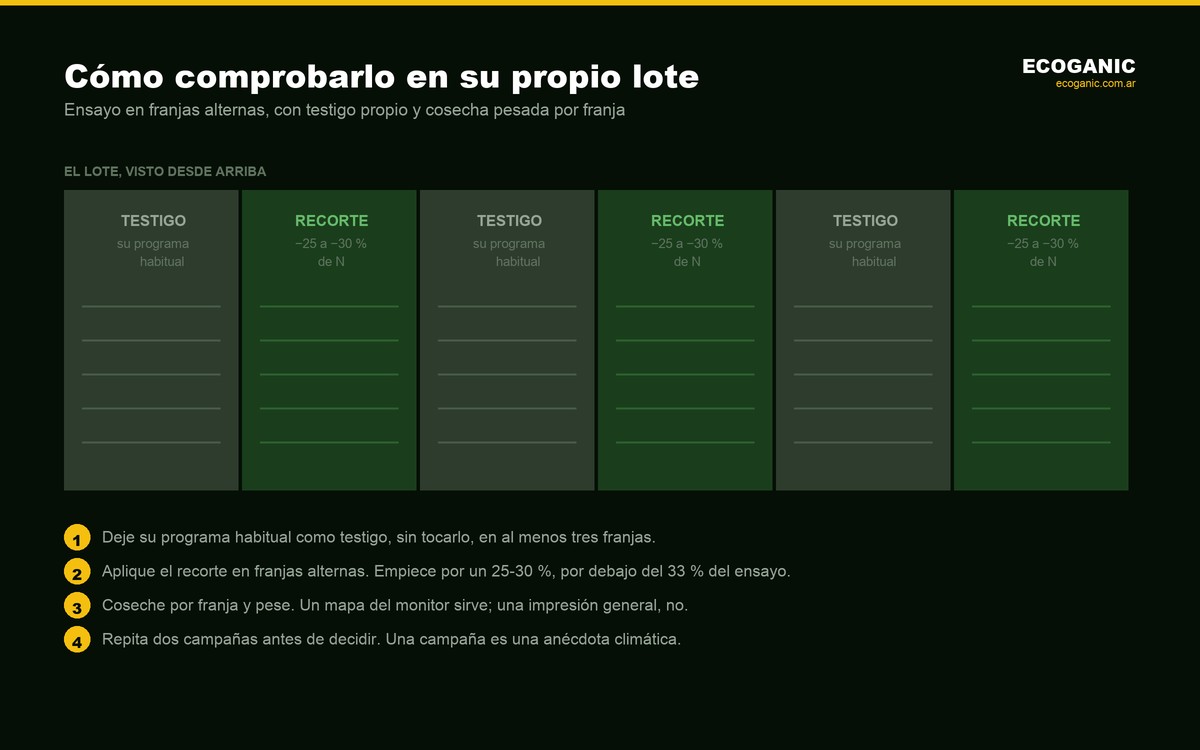 Diseño de ensayo en franjas alternas en el lote: franjas testigo con el programa habitual y franjas con un recorte del 25 al 30 % de nitrógeno