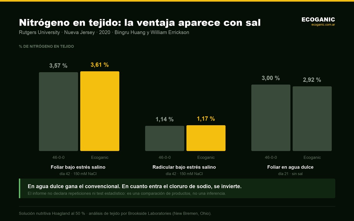 Nitrógeno en tejido medido por Rutgers University: Ecoganic 3,61 % frente a 3,57 % del 46-0-0 bajo estrés salino