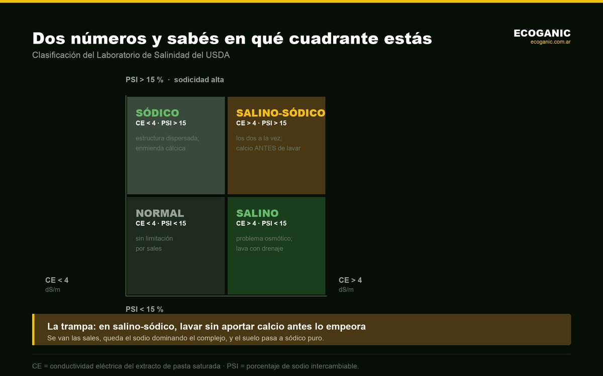 Clasificación de suelos por conductividad eléctrica y porcentaje de sodio intercambiable: normal, salino, sódico y salino-sódico