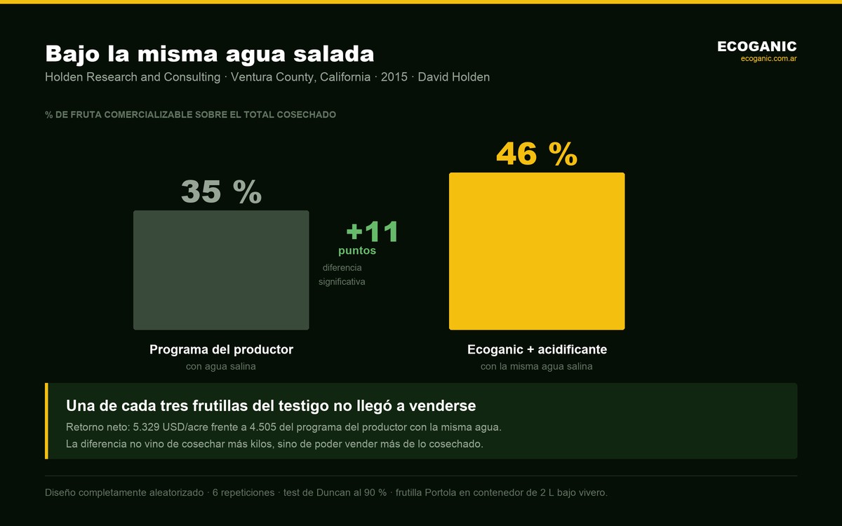 Bajo riego salino, el programa Ecoganic alcanzó un 46 % de fruta comercializable frente al 35 % del programa del productor, con 824 dólares por acre de diferencia