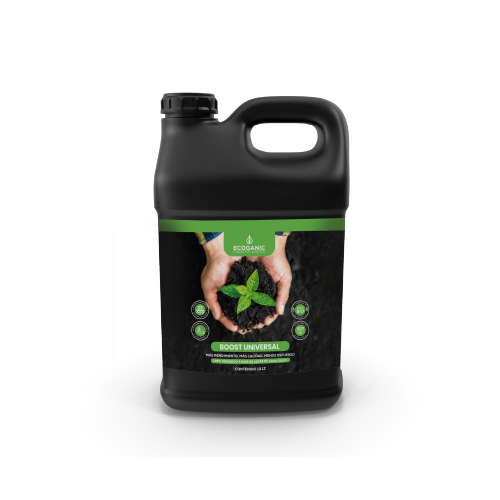 productividad con BOOST UNIVERSAL, el bioestimulante ecológico de Ecoganic adaptado al campo argentino. Más raíces activas, más rendimiento, menos aplicaciones.

