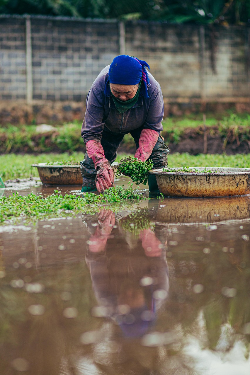Practical applications of fulvic acid in agriculture