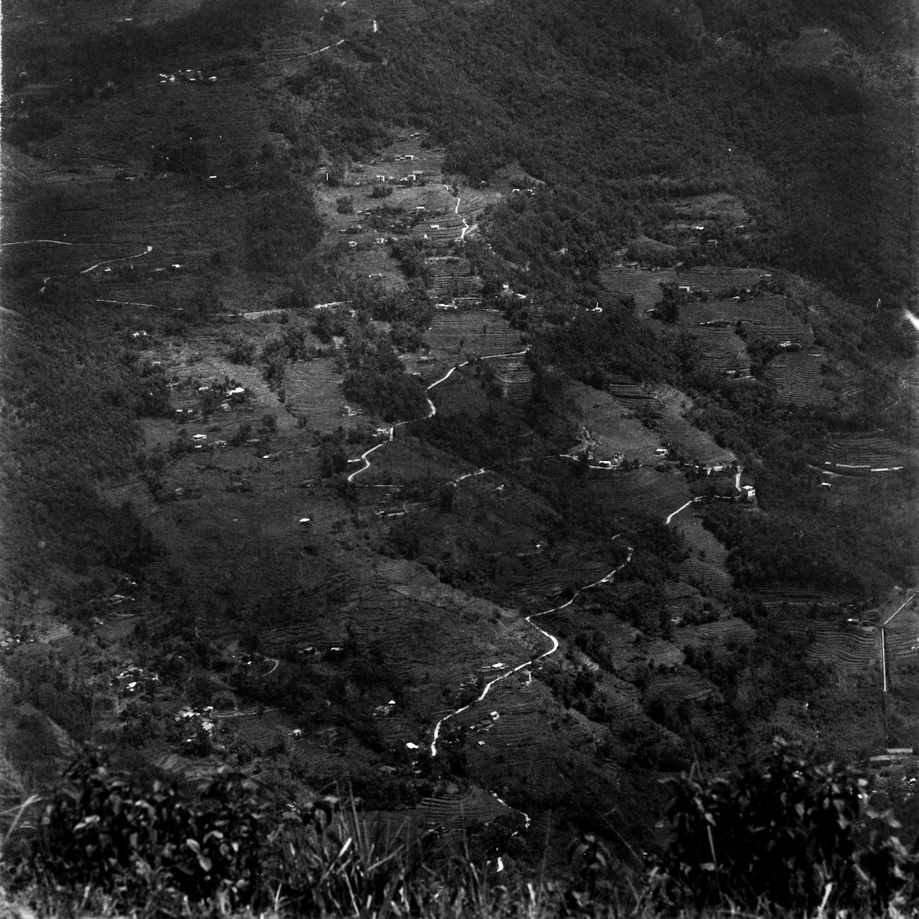 Aplicaciones en cultivos