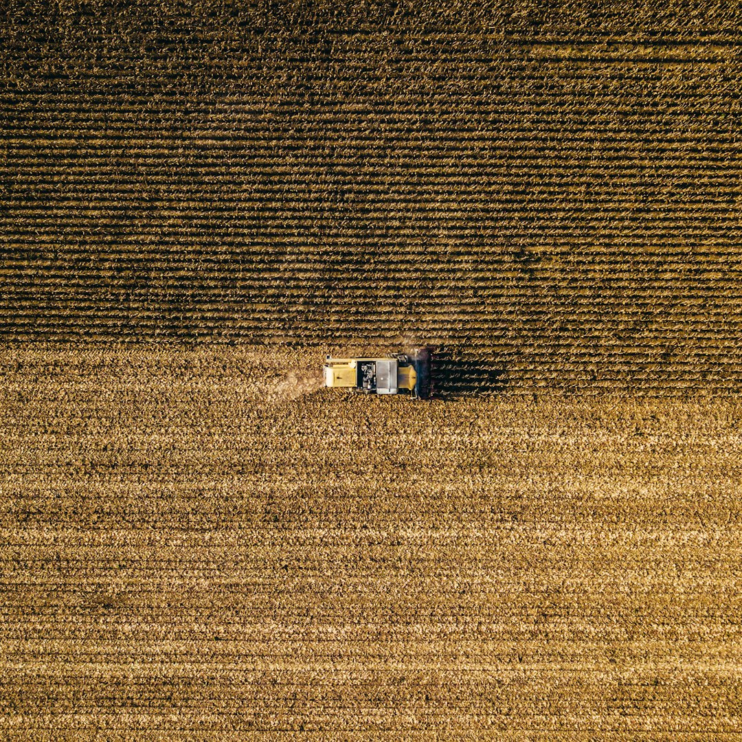 Comment appliquer des bio-stimulants dans vos cultures