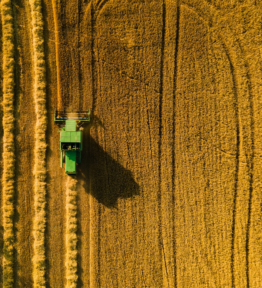 How to Apply Bio-stimulants in Organic Crops