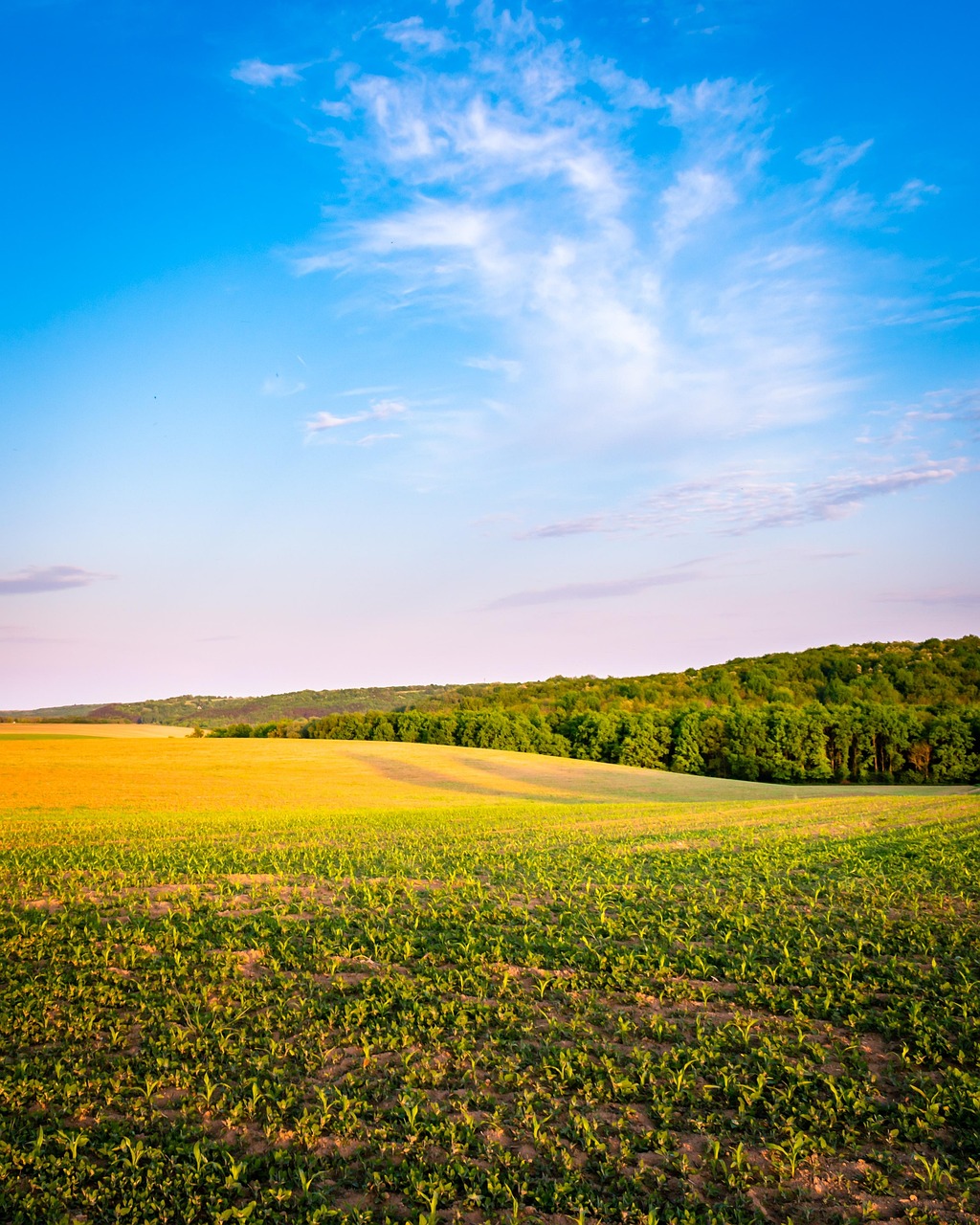 Beneficios Comprobados en la Agricultura