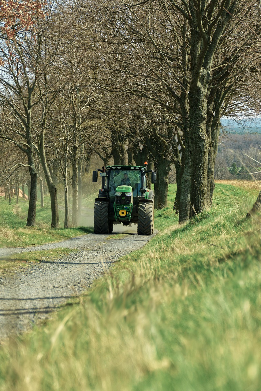 Cómo aplicar biofertilizantes en cultivos orgánicos