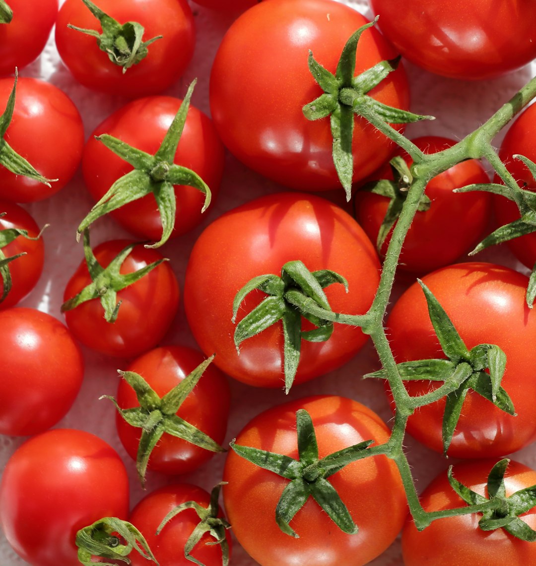 Beneficios del Fertilizante Orgánico