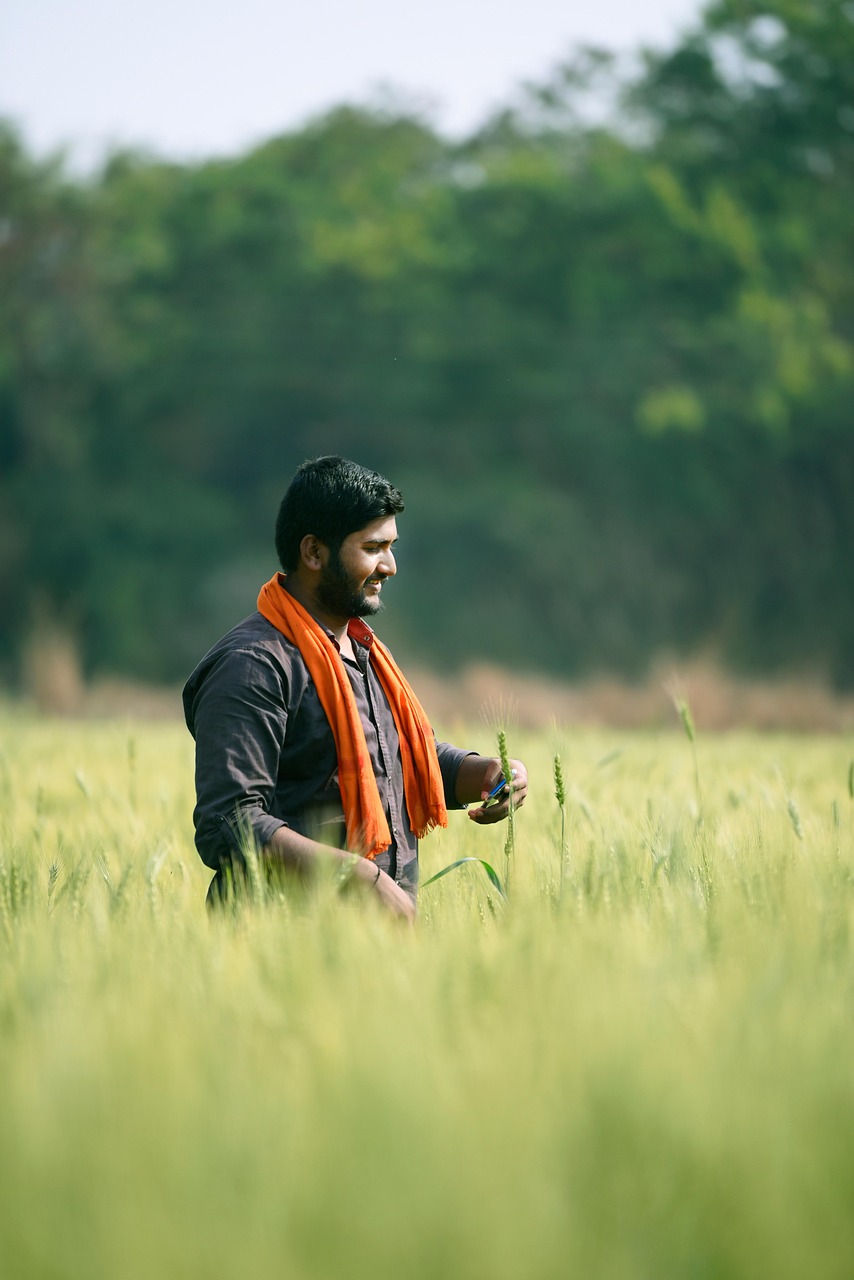 Certificación SENASA