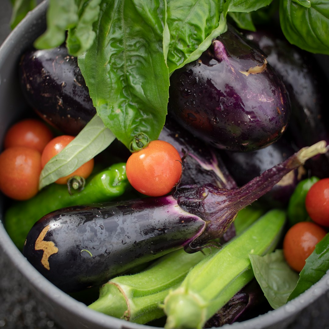 vegetales saludables en cultivo orgánico